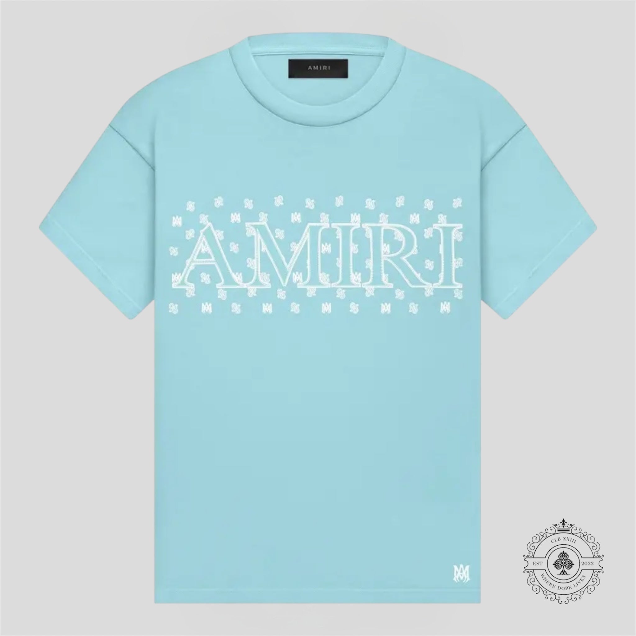 Amiri Paisley Tee in Aqua